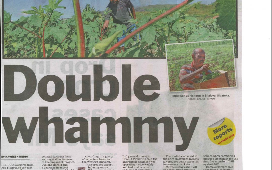 Produce Export Plunges