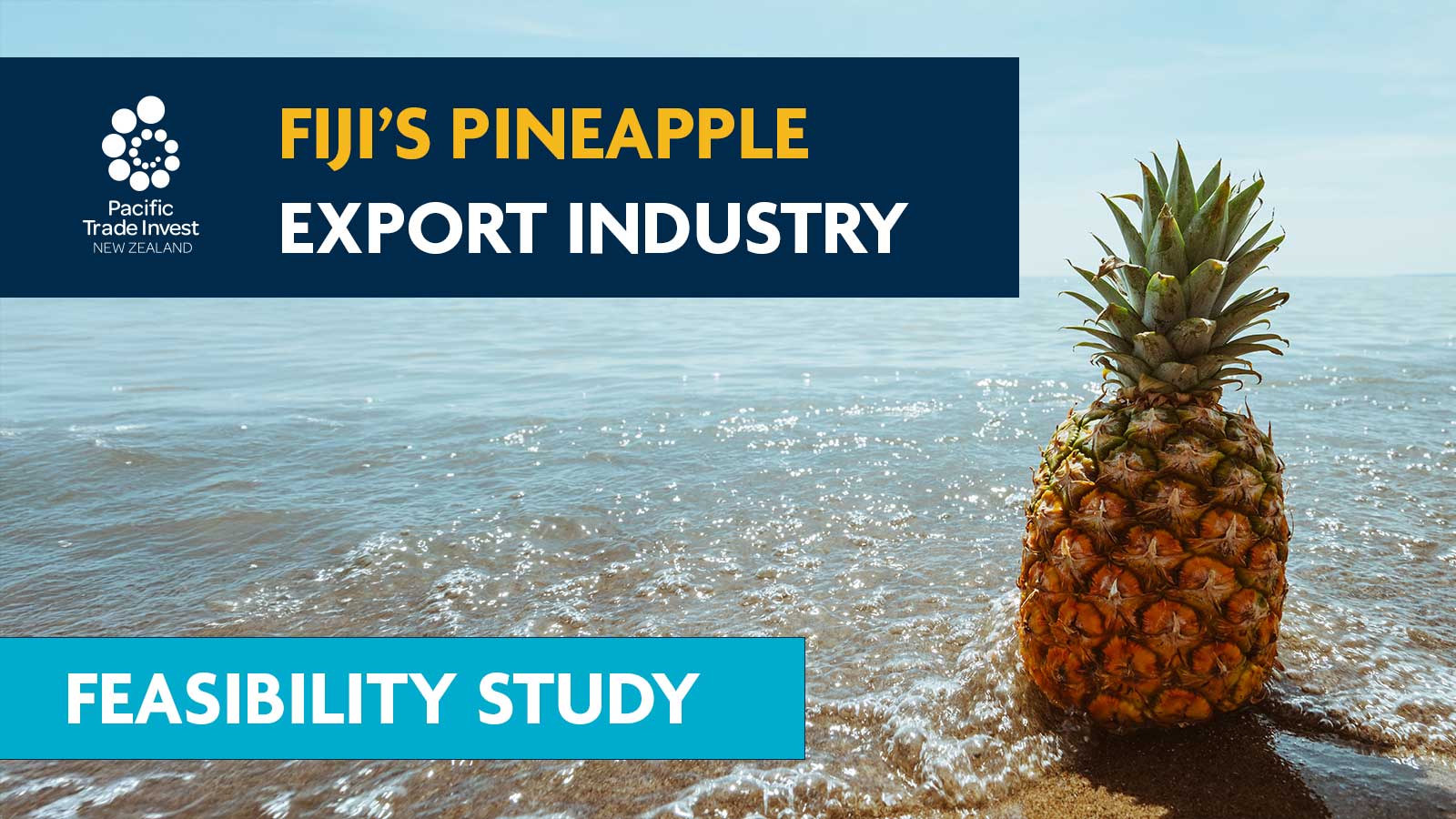 Pacific Trade Invest New Zealand is working with Samoa IBC to explore the potential to develop a commercial-scale fresh pineapple export industry in Fiji